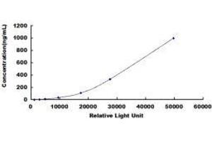 ELISA image for Beta Lactoglobulin (LGB) CLIA Kit (ABIN492235)