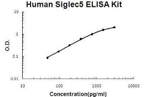 Human Siglec5 PicoKine ELISA Kit standard curve (SIGLEC5 ELISA Kit)