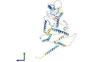 Protein Structure (PS) image for M-Phase phosphoprotein 10 (U3 Small Nucleolar Ribonucleoprotein) (MPHOSPH10) (AA 1-681) protein (His tag) (ABIN7549553)