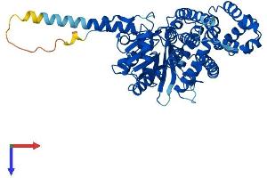 CDC45 Protein (AA 1-566) (His tag)