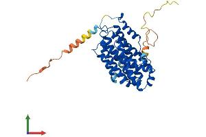Protein Structure (PS) image for Ribonucleotide Reductase M2 B (TP53 Inducible) (RRM2B) (AA 1-351) protein (His tag) (ABIN7551417)