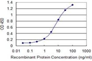 Detection limit for recombinant GST tagged COX5A is 0. (COX5A Antikörper  (AA 1-150))
