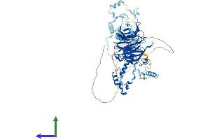 AlphaFold protein structure predicition of Mouse Recombinant Bop1 Protein, UniprotID P97452