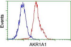 Image no. 4 for anti-Aldo-Keto Reductase Family 1, Member A1 (Aldehyde Reductase) (AKR1A1) antibody (ABIN1496544) (AKR1A1 Antikörper)