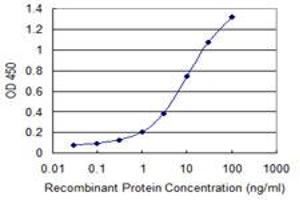 Detection limit for recombinant GST tagged DLL4 is 0. (DLL4 Antikörper  (AA 123-221))
