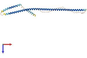 ZWINT Protein (AA 1-277) (His tag)