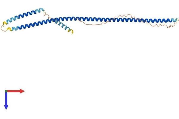 ZWINT Protein (AA 1-277) (His tag)