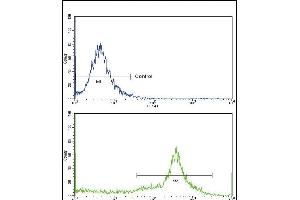 Flow Cytometry (FACS) image for anti-Major Histocompatibility Complex, Class II, DR beta 1 (HLA-DRB1) (AA 30-58) antibody (ABIN390872)