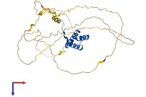 HOXD9 Protein (AA 1-339) (His tag)