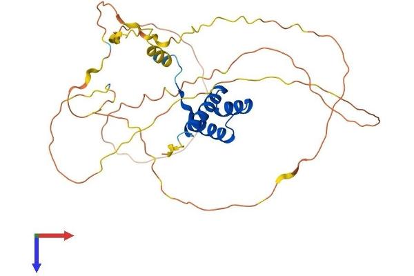 HOXD9 Protein (AA 1-339) (His tag)
