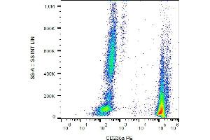 Flow cytometry analysis (surface staining) of CD235a in human peripheral blood (erythrocytes and leukocytes) with anti-CD235a (JC159) PE. (CD235a/GYPA Antikörper  (PE))