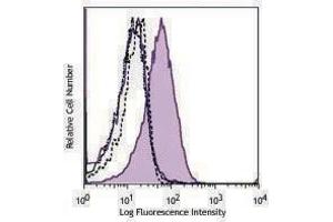 anti-Th-POK antibody (PE)