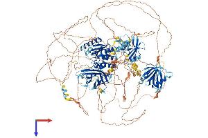 TNS3 Protein (AA 1-1445) (His tag)