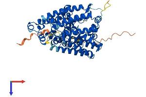 MBOAT1 Protein (AA 1-495) (His tag)
