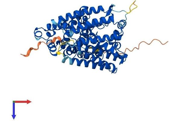 MBOAT1 Protein (AA 1-495) (His tag)