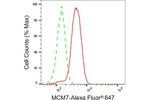 Flow cytometric analysis of MCM7 expression in HepG2 cells using MCM7 antibody (ABIN7799424), 1:2,000).