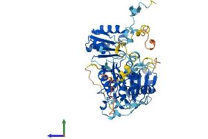 Protein Structure (PS) image for Diphthamide Biosynthesis Protein 2 (DPH2) (AA 1-489) protein (His tag) (ABIN7560602)