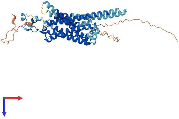 NMUR1 Protein (AA 1-428) (His tag)