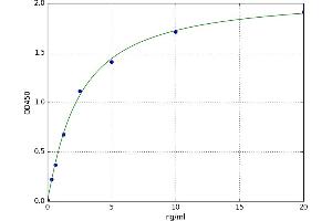 A typical standard curve