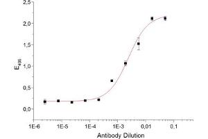 ELISA image for anti-Activin A Receptor, Type IIB (ACVR2B) (Extracellular Domain) antibody (ABIN2745505)