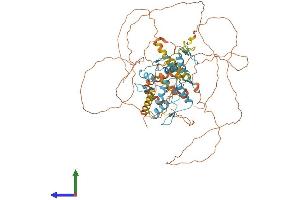 Protein Structure (PS) image for B-Cell CLL/lymphoma 6 (BCL6) (AA 1-706) protein (His tag) (ABIN7552699)