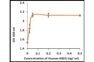 Activity Assay (AcA) image for Amphiregulin (AREG) (Active) protein (ABIN5509497)