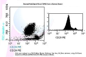 Image no. 1 for anti-Integrin beta 1 (ITGB1) antibody (PE) (ABIN1112109) (ITGB1 Antikörper  (PE))