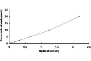 Typical standard curve (CACNA1D ELISA Kit)