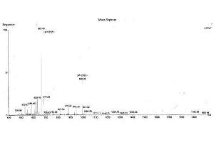 Image no. 1 for Caveolin 1, Caveolae Protein, 22kDa (CAV1) protein (Ovalbumin) (ABIN2127354)