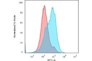 Flow Cytometric Analysis of paraformaldehyde-fixed HepG2 cells using SUMO-1 Mouse Monoclonal Antibody (SM1/495) followed by goat anti- Mouse- IgG-CF488 (Blue); Isotype Control (Red). (SUMO1 Antikörper)