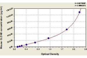 Typical Standard Curve (Claudin 5 ELISA Kit)