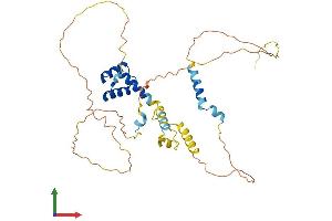 Protein Structure (PS) image for Visual System Homeobox 2 (VSX2) (AA 1-361) protein (His tag) (ABIN7545139)