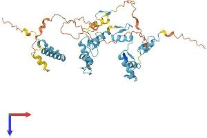 ZNF584 Protein (AA 1-421) (His tag)