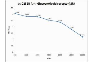 Antigen: 0. (Glucocorticoid Receptor Antikörper  (AA 231-320))