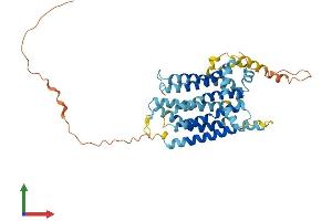 AlphaFold protein structure predicition of Human Recombinant TMEM184A Protein, UniprotID Q6ZMB5