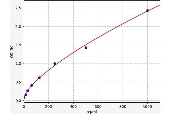 Retinoic Acid Receptor gamma ELISA Kit