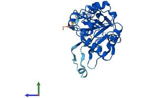 Protein Structure (PS) image for DPH5 Homolog (DPH5) (AA 1-281) protein (His tag) (ABIN7560676)