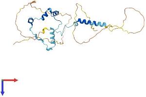 SAP30BP Protein (AA 1-308) (His tag)