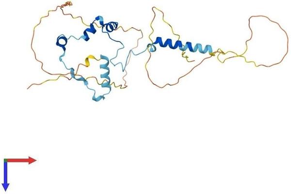 SAP30BP Protein (AA 1-308) (His tag)
