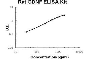 Rat GDNF PicoKine ELISA Kit standard curve