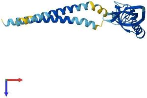 KCNMB4 Protein (AA 1-210) (His tag)