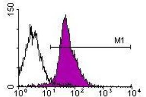 Image no. 1 for anti-Integrin alpha-L (ITGAL) antibody (ABIN135124) (ITGAL Antikörper)