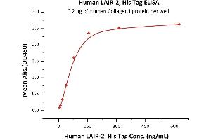 Immobilized Human Collagen I protein at 2 μg/mL (100 μL/well) can bind Human LAIR-2, His Tag (ABIN2181450,ABIN2181449) with a linear range of 5-78 ng/mL (QC tested).