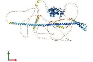 Protein Structure (PS) image for Hepatocyte Growth Factor-Regulated tyrosine Kinase Substrate (HGS) (AA 1-775) protein (His tag) (ABIN7564894)