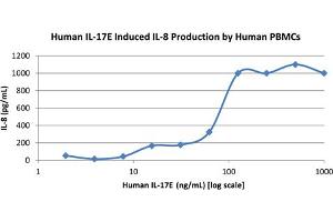 SDS-PAGE of Human Interleukin-17E (IL-25) Recombinant Protein Bioactivity of Human Interleukin-17E (IL-25) Recombinant Protein.