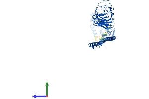 Protein Structure (PS) image for Tripartite Motif Containing 21 (TRIM21) (AA 1-470) protein (His tag) (ABIN7563950)