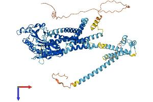 AlphaFold protein structure predicition of Mouse Recombinant Pkd2l1 Protein, UniprotID A2A259 (PKD2L1 Protein (AA 1-760) (His tag))