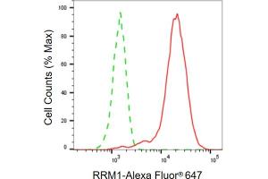 Flow cytometric analysis of RRM1 expression in HepG2 cells using RRM1 antibody (ABIN7800212), 1:2,000). (Rekombinanter RRM1 Antikörper)
