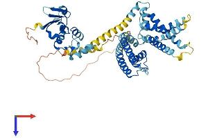 KCNS3 Protein (AA 1-491) (His tag)