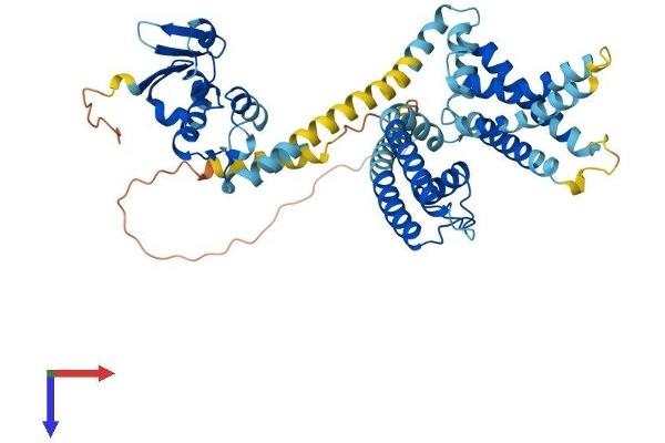 KCNS3 Protein (AA 1-491) (His tag)